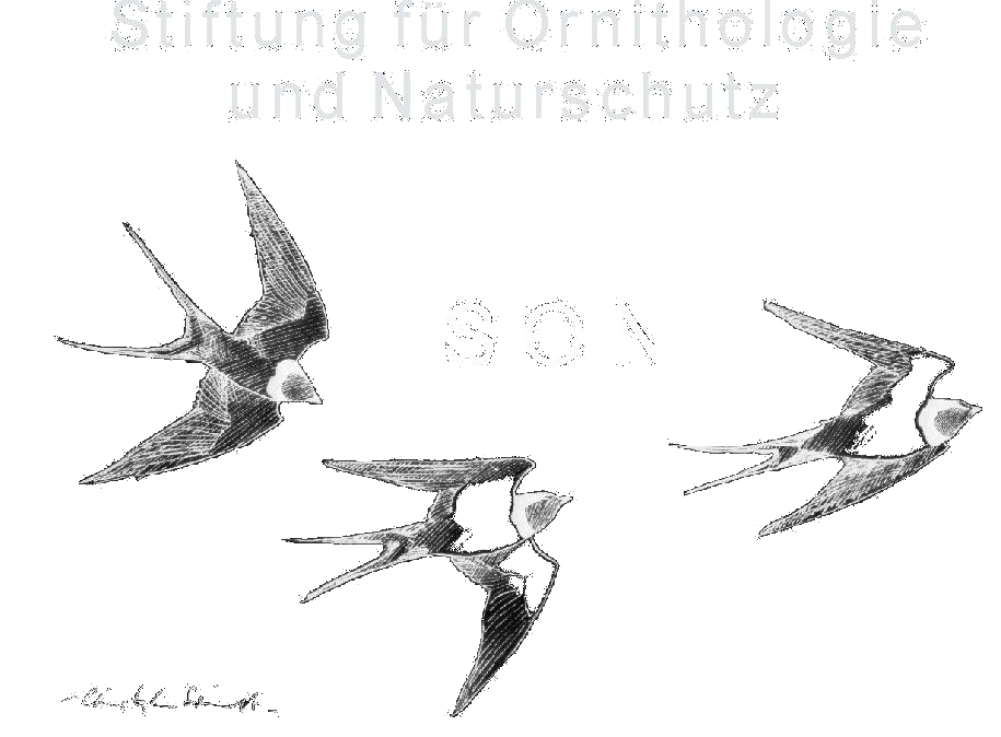 Stiftung für Ornithologie und Naturschutz (SON)