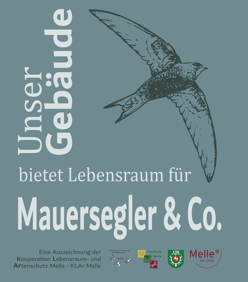 KLAr-Artenschutzplakette Lebensraum Mauersegler